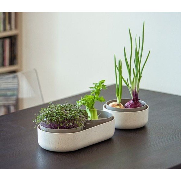 Vasetto per germogli in plastica Microgreens + Regrow – Plastia-image-1
