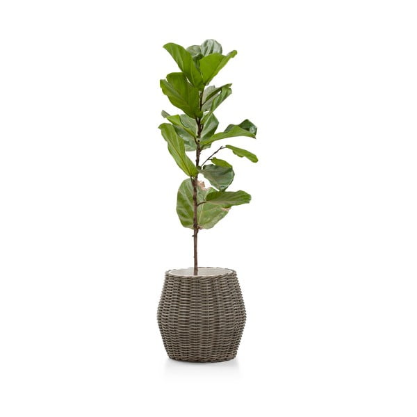 Coprivaso artificiale in rattan ø 35 cm Fiore - Bonami Essentials-image-2