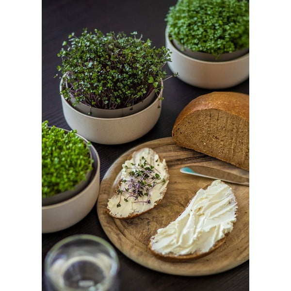 Vasetto per germogli in plastica Microgreens + Regrow – Plastia-image-3