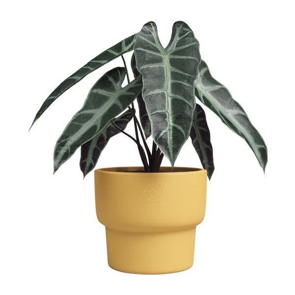 Vaso in ceramica fatto a mano ø 20 cm Echo - Artevasi-image-3