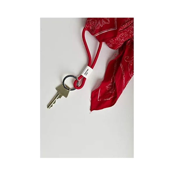 Portachiavi in lavanda Light Purple 257c - Pantone-image-1