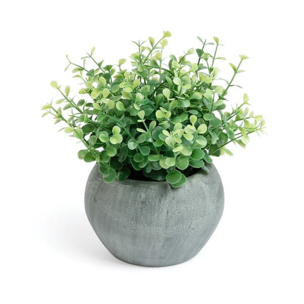 Eucalipto artificiale in vaso - Kave Home