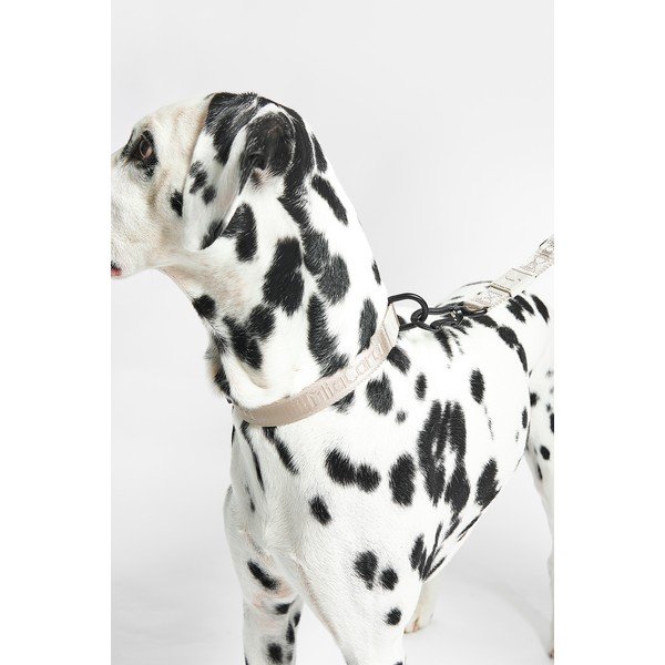 Colletto beige taglia S/M lunghezza 32 cm Modena Greige S/SM - MiaCara-image-1