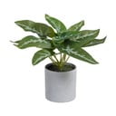 Pianta artificiale (altezza 21 cm) Syngonium - Ixia