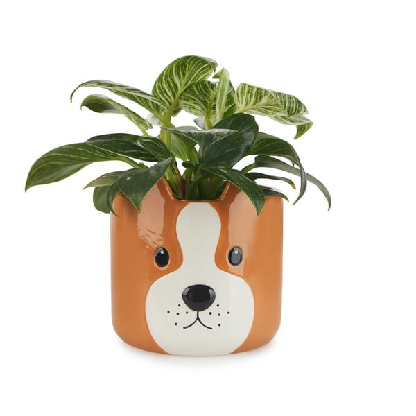 Vaso in ceramica ø 13,5 cm Woof - Balvi-image-1