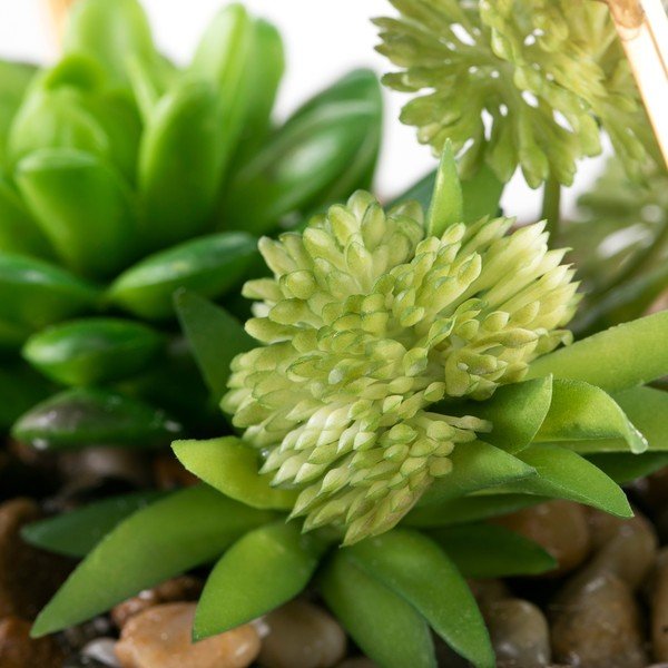 Succulenta artificiale (altezza 15,5 cm) Geometry - AmeliaHome-image-2