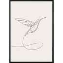 Poster da parete in cornice SKETCHLINE/HUMMINGBIRD, 50 x 70 cm Sketchline Hummingbird - DecoKing