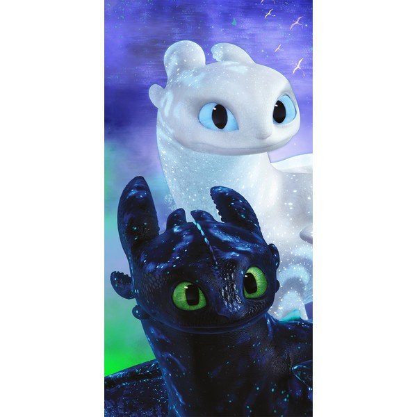 Asciugamano in cotone per bambini 70x140 cm How to Train Your Dragon - Jerry Fabrics