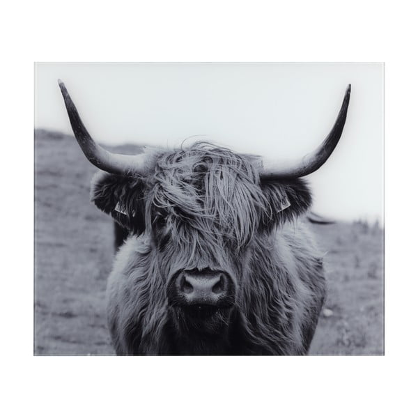 Piastra in vetro per stufa, 60 x 50 cm Highland - Wenko