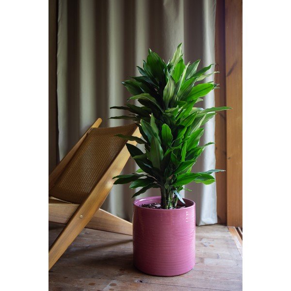 Coprivaso in ceramica ø 25 cm Fortuna – Artevasi-image-1