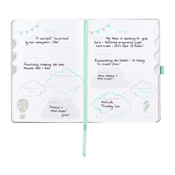 Diario di gravidanza 128 pagine - Busy B-image-3