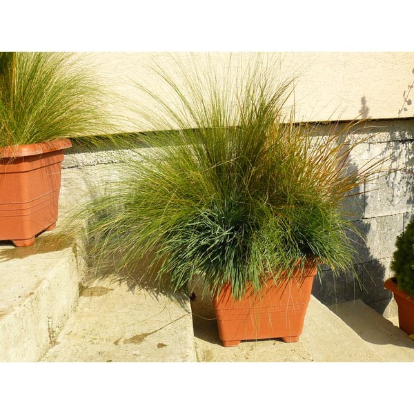 Vaso marrone autoinnaffiante, 50 x 50 cm Bergamot - Plastia-image-1