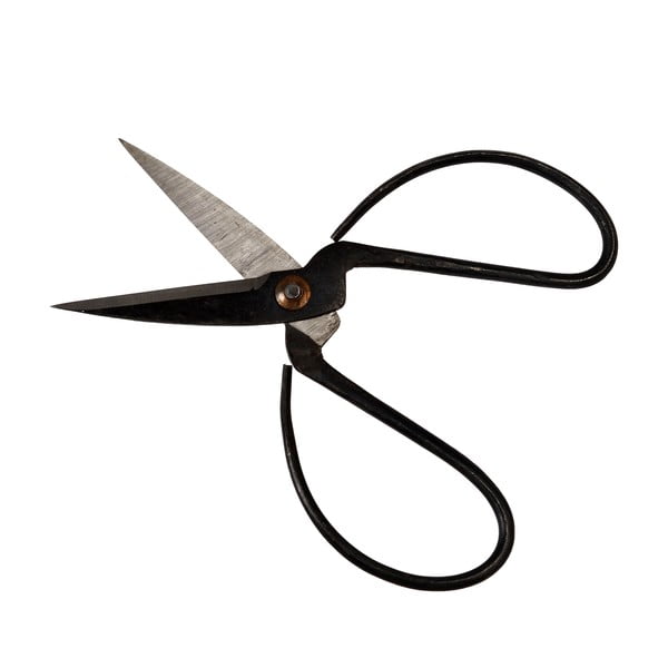 Forbici da giardino Your Garden – Rex London-image-2