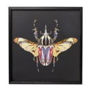 Quadro incorniciato Maggiolino, 60 x 60 cm Art Beetle - Kare Design