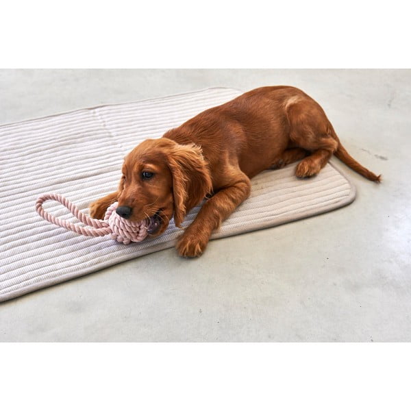 Coperta grigia in cotone per cani 60x80 cm Onda Greige S - MiaCara-image-3