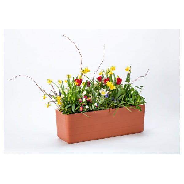 Fioriera in plastica con sistema di auto-irrigazione 39,5 cm Berberis – Plastia-image-4