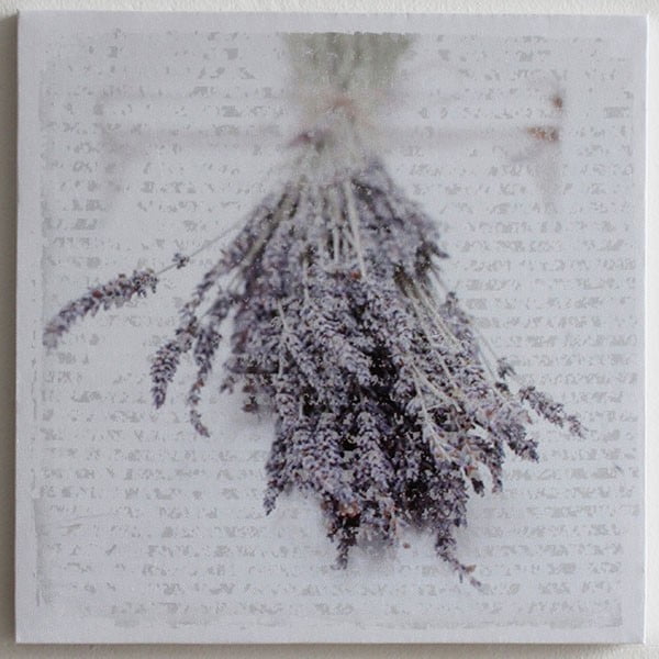 Obraz na plátně Lavende, 28x28 cm