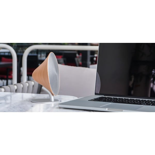 Cassa bluetooth – Gingko-image-1