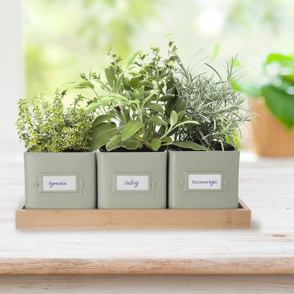 Set di vasi in metallo per erbe aromatiche 3 pz Greenish - Orion-image-1