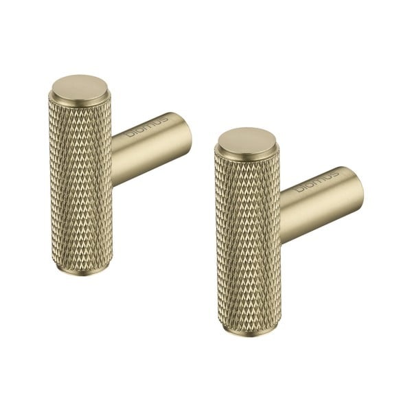 Set di ganci da parete color ottone in metallo 2 pz Rof – Blomus