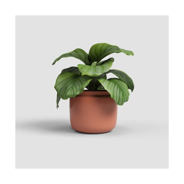 Vaso in ceramica fatto a mano ø 20 cm Astrea - Artevasi-image-1