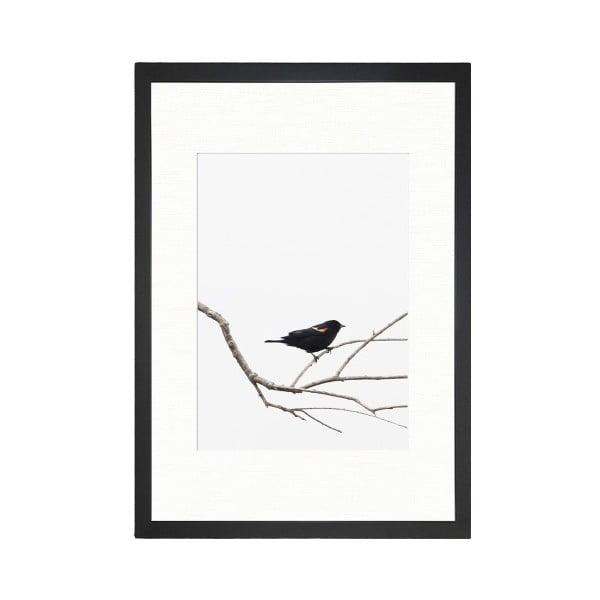 Poster 24x29 cm Bird on the Branch - Tablo Center