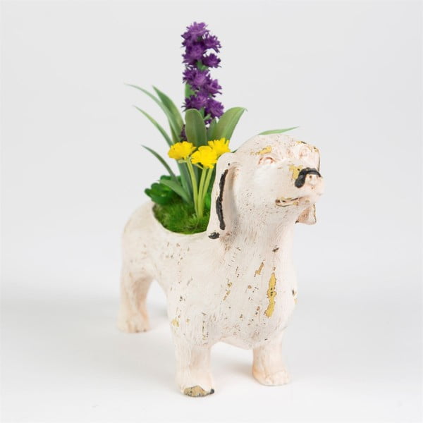 Dekorace Sass & Belle Flowers Dog-image-1