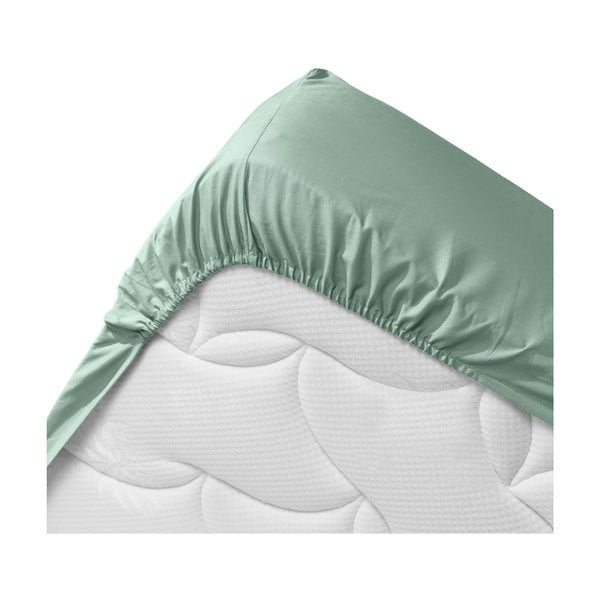 Lenzuolo elasticizzato verde chiaro in cotone biologico 140x190 cm Biolina - douceur d'intérieur-image-3