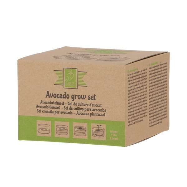 Vaso per avocado ø 14 cm Avocado - Esschert Design-image-4