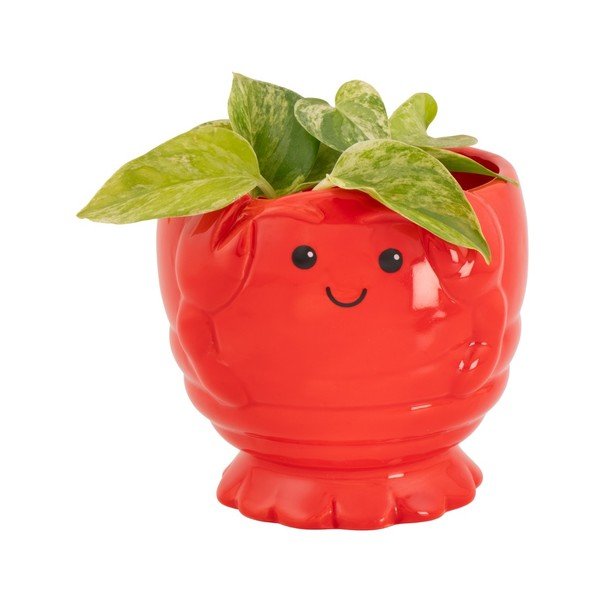 Coprivaso in ceramica ø 10 cm Lobster – Sass & Belle-image-2