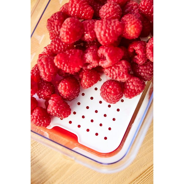 Organizer da frigo in plastica Cauma - Rotho-image-3