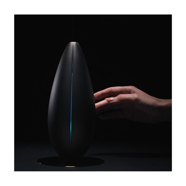 Diffusore profumato nero Bud - Bloomy Lotus-image-1