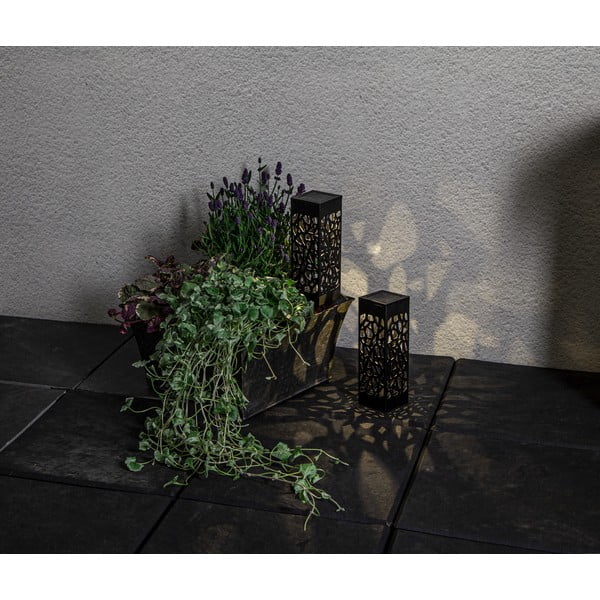 Set di 2 luci LED solari da esterno, altezza 18 cm Izola - Star Trading-image-4