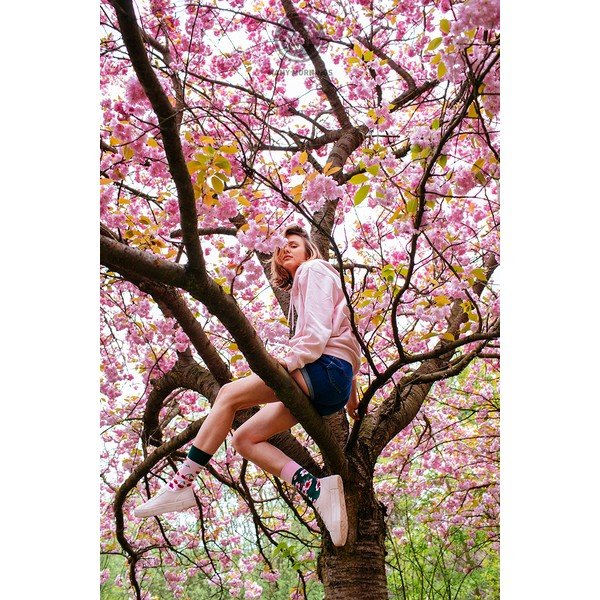 Calzini Cherry Blossom, taglia 35-38 - Many Mornings-image-1