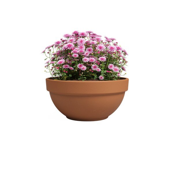 Vaso in terracotta ø 20 cm Amalia Campana - Artevasi-image-2