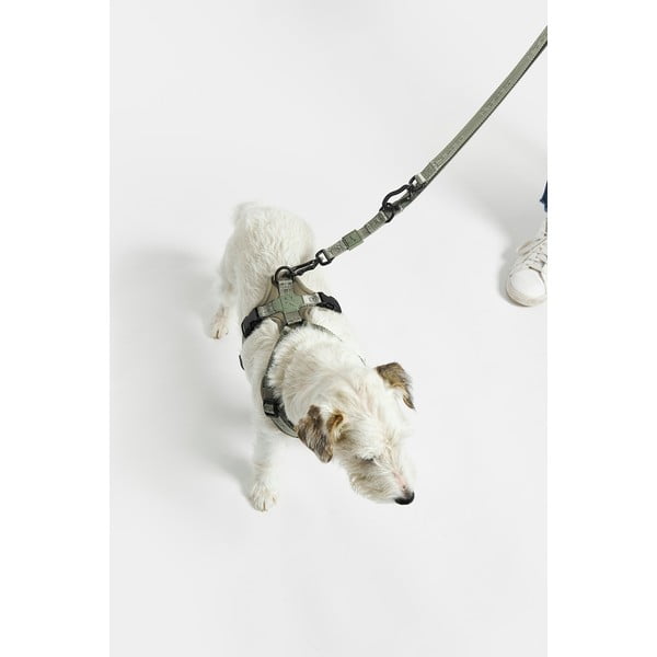 Guinzaglio beige lunghezza 200 cm Modena Greige 20 mm - MiaCara-image-4