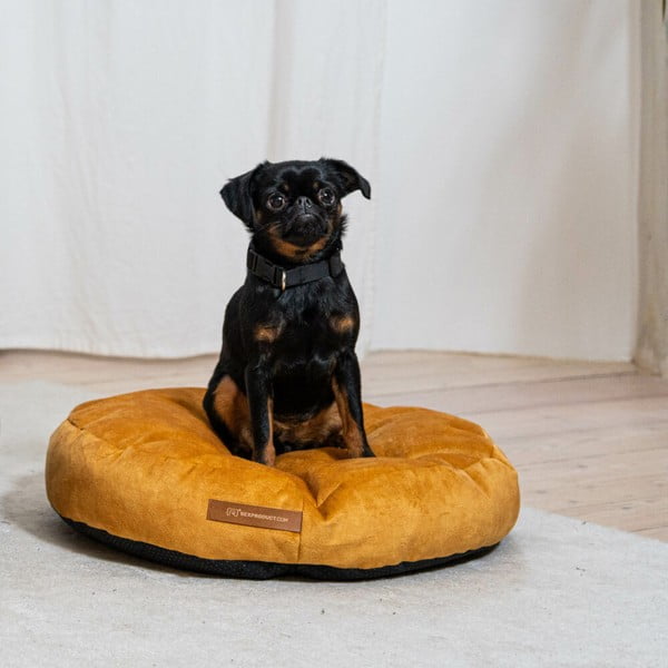 Materasso giallo per cane ø 50 cm Coco S - Rexproduct-image-1