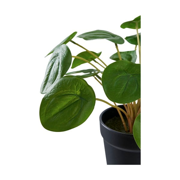 Pianta artificiale (altezza 28 cm) Pelia - House Nordic-image-4