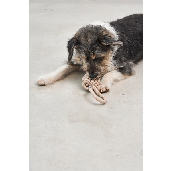 Giocattolo per cani Nodo Greige – MiaCara-image-1