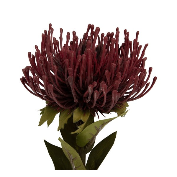 Fiore artificiale (altezza 60 cm) Protea - PT LIVING-image-1