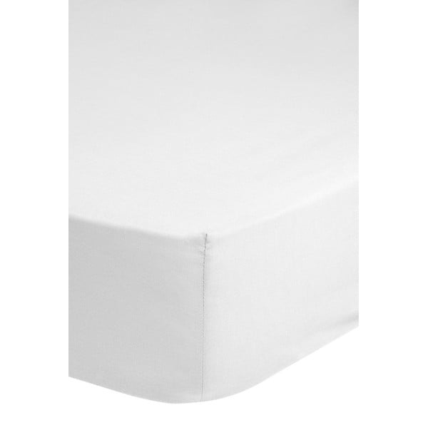 Lenzuolo di cotone sateen elasticizzato bianco, 160 x 200 cm - HIP-image-1