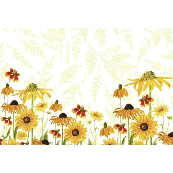 Tovaglietta in plastica 43x29 cm Danielle - IHR