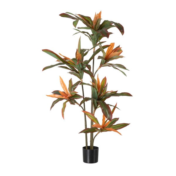 Pianta artificiale (altezza 140 cm) Dracena - Ixia