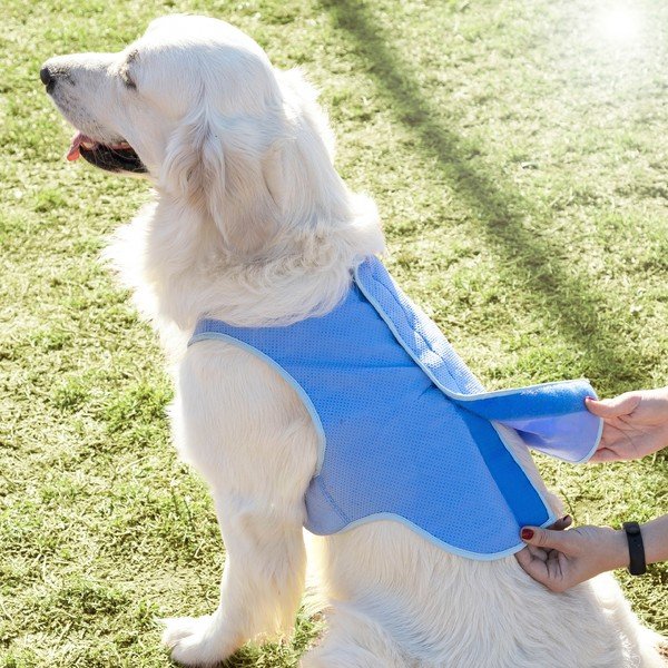 Gilet refrigerante per animali domestici di grossa taglia, taglia. L - InnovaGoods-image-4