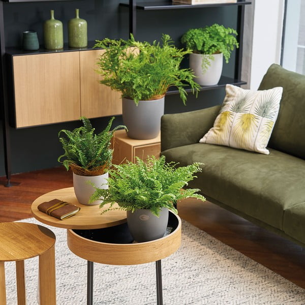 Vaso in ceramica ø 24 cm Basel Stone - Big pots-image-1