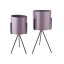 Set di 2 vasi da fiori in ferro viola su base Pedestal - PT LIVING