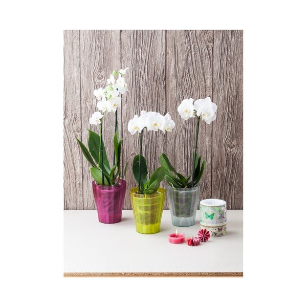 Vaso trasparente grigio fumo , ø 17 cm - Plastia-image-1