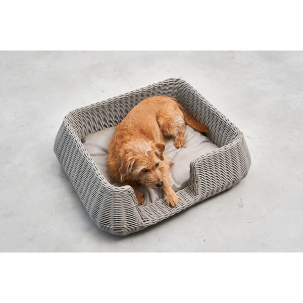 Cuccia per cani beige 58x68 cm Mio Greige S - MiaCara-image-4