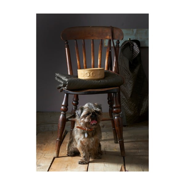 Ciotola per cani in gres, ø 25 cm Pet Cane Dog - Mason Cash-image-2