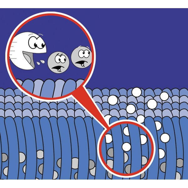 Spray per la pulizia dei tappeti 500 ml Nano - Maximex-image-1